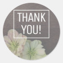Search for hellebore stickers Pink