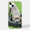 Search for “young iphone cases Happy
