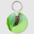 Search for caterpillar key rings Animal