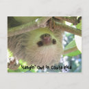 Search for hanging postcards Animals