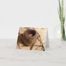 Search for felt cards Nature