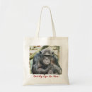 Search for chimpanzees bags Primates