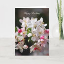 Search for cherry blossom birthday cards Floral