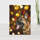 Search for gsd christmas cards Dog