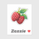 Search for fruit snacks stickers Healthy