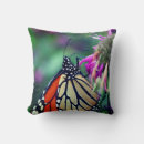 Search for monarch butterfly cushions Photography