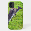 Search for kangaroo cases Marsupial