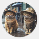 Search for dimensions stickers Patterns