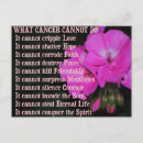Search for what postcards Pink