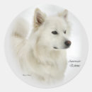 Search for american eskimo dog stickers Pets