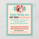 Search for small cat flyers Vet