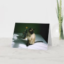 Search for siamese christmas cards Pet