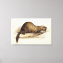 Search for weasel art Animals