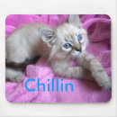 Search for chilled standard mouse mats Pad