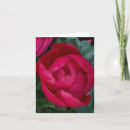 Search for peonies note cards Botanical