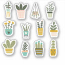 Search for house plant stickers Succulents