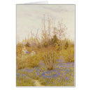 Search for cuckoo Flowers