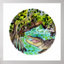 Search for mangrove posters Everglades