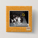 Search for innocent badges I can has cheezburger