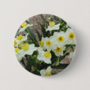 Search for narcissus badges Bloom