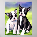 Search for boston terrier art Watercolor