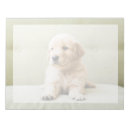 Search for golden retriever notepads Cute baby animal