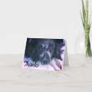 Search for dog note photography Cute