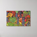 Search for wine grape art Vineyard
