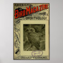 Search for 1903 posters Antique