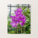 Search for orchid puzzles Pink