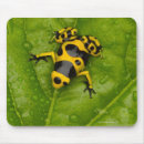Search for poisonous standard mouse mats Wildlife