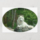 Search for white wolf invitations Animal