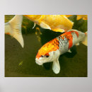 Search for koi carp posters Japanese