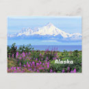 Search for clark lake postcards Alaska