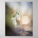 Search for snowdrop art Floral