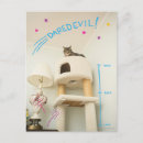 Search for grumpy vertical postcards Kitten