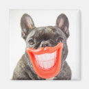 Search for getty magnets Animals