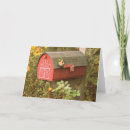 Search for mailbox cards Letter