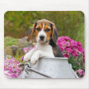 Search for beagle mouse mats Pet