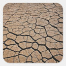 Search for arid Texture