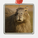 Search for mcdonalds christmas tree decorations Mary ann mcdonald