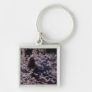 Search for floating key rings Animal