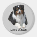 Search for aussie shepherd magnets Dogs