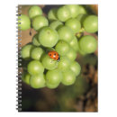 Search for grapes notebooks Red
