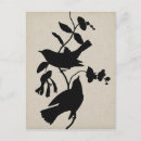 Search for audubon postcards Bird