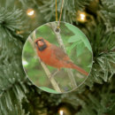 Search for female cardinal christmas tree decorations Cardinals