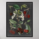 Search for botanical study posters Food