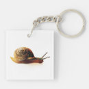 Search for snail key rings Green
