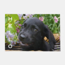 Search for black lab doormats Cute