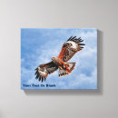 Search for kite art Animals